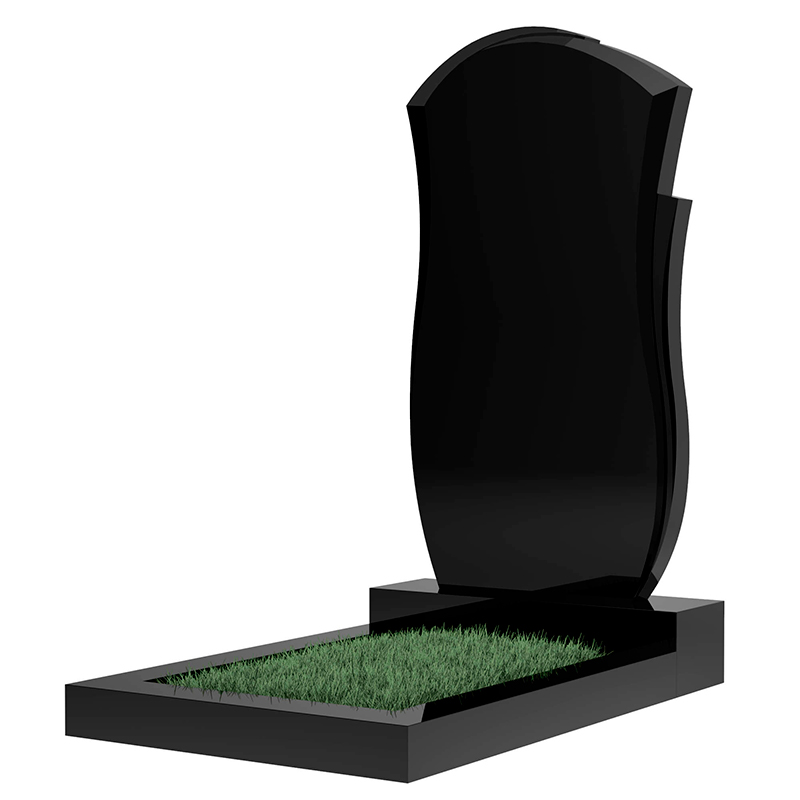 Памятник MS800